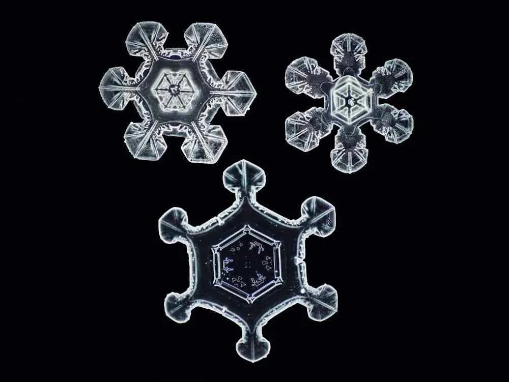 Load video: water experiments by dr Masaru Emoto